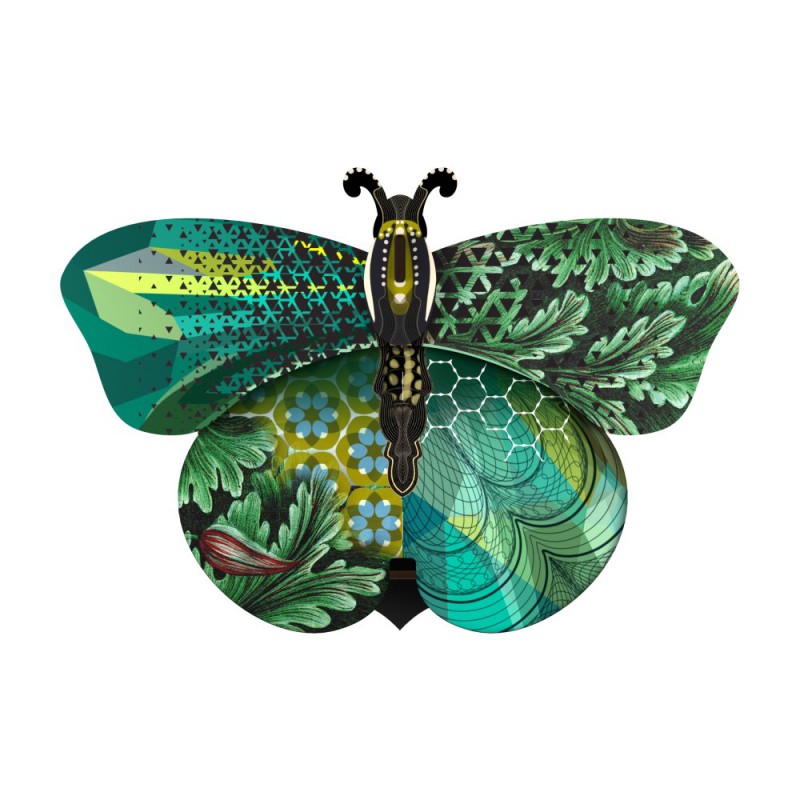 BUTTERFLY MED. MAGDA