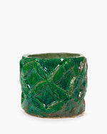 Load image into Gallery viewer, FLOWER POT LOOK AT ME
