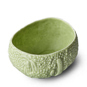 HAAS MOJAVE DESSERT BOWL