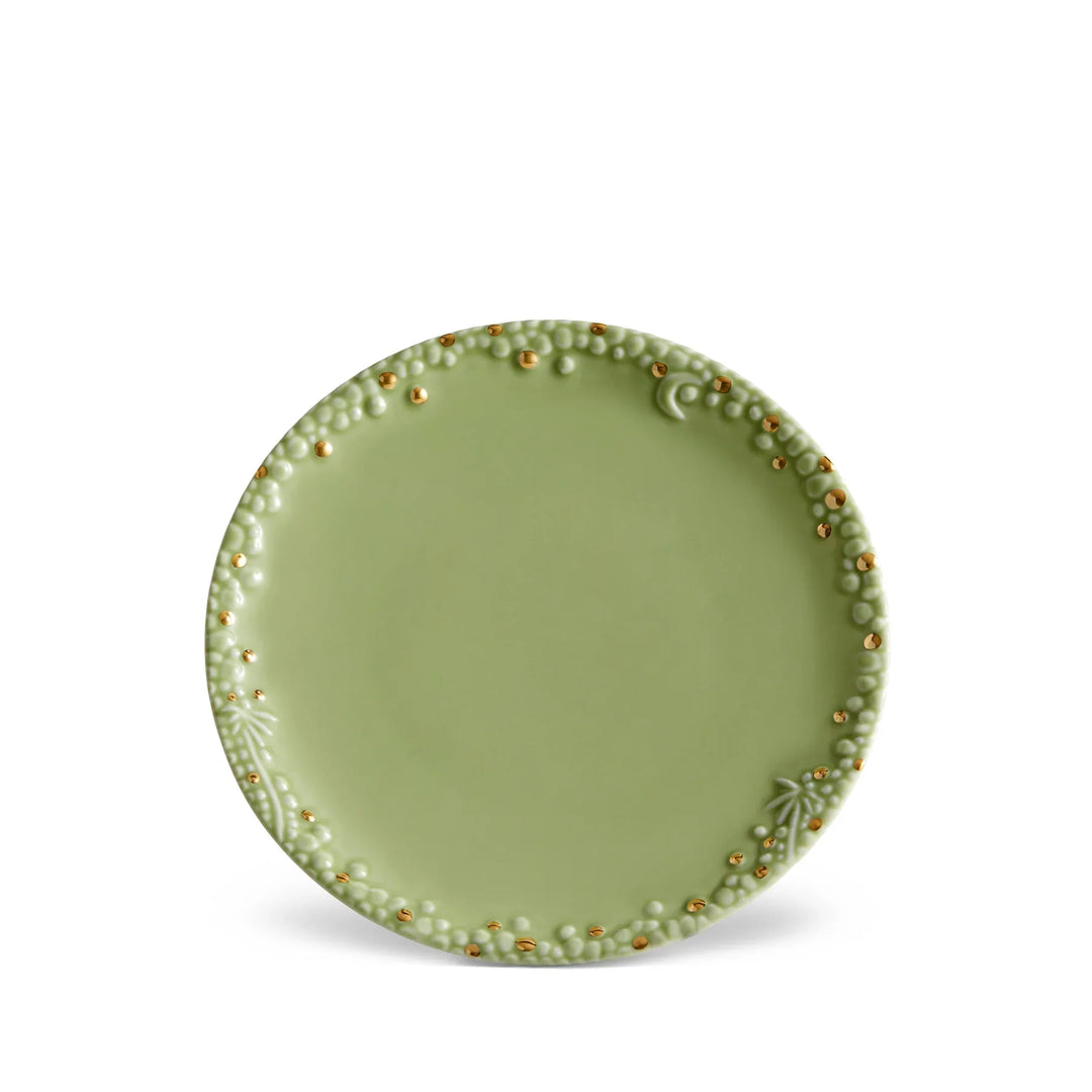 HAAS MOJAVE DESSERT PLATE