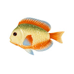 Load image into Gallery viewer, PLATE FISH RAINBOW
